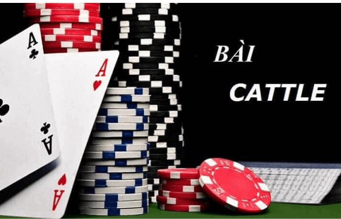 Khám phá các trò chơi nhiều người hấp dẫn nhất năm nay